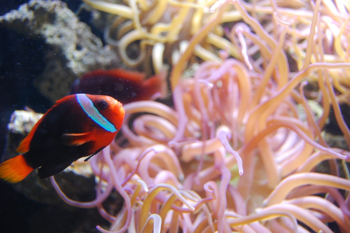 Key West Aquarium - Gallery Image 2